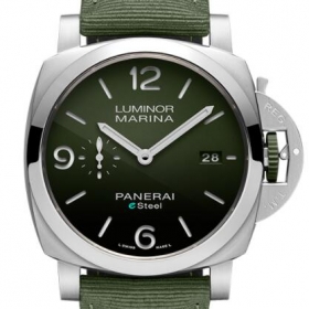 PAM01356