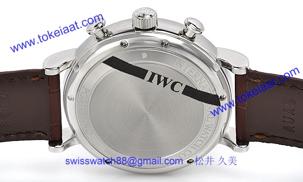 IWC IW391007 コピー 時計[1]