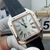高級カルティエコピー時計 サントス サファイア風防Santos-Dumont W2SA0011 (1)